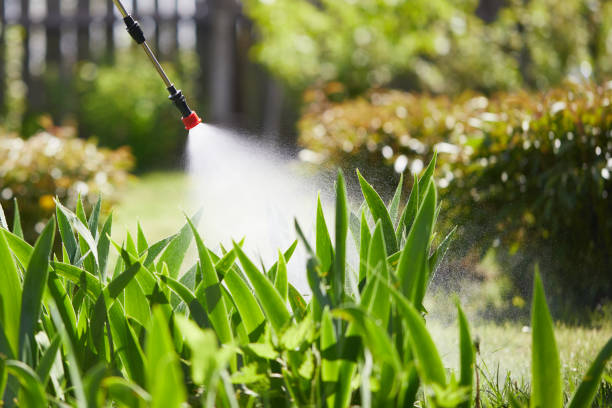 Tamper-Resistant Bait Stations for Rodents in Gouldtown