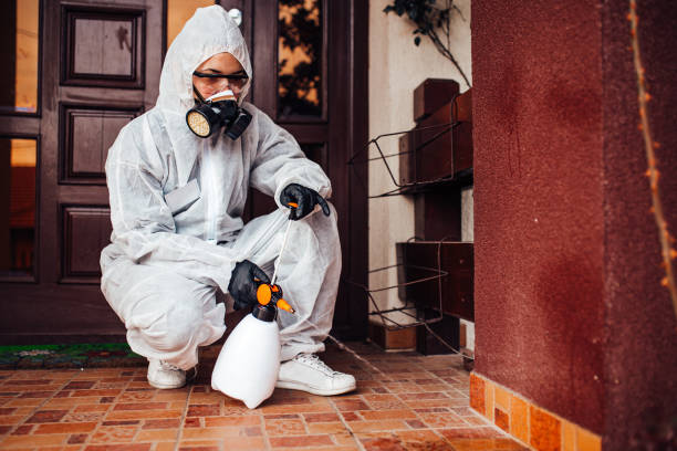 Attic and Crawl Space Rodent Treatment in Gouldtown